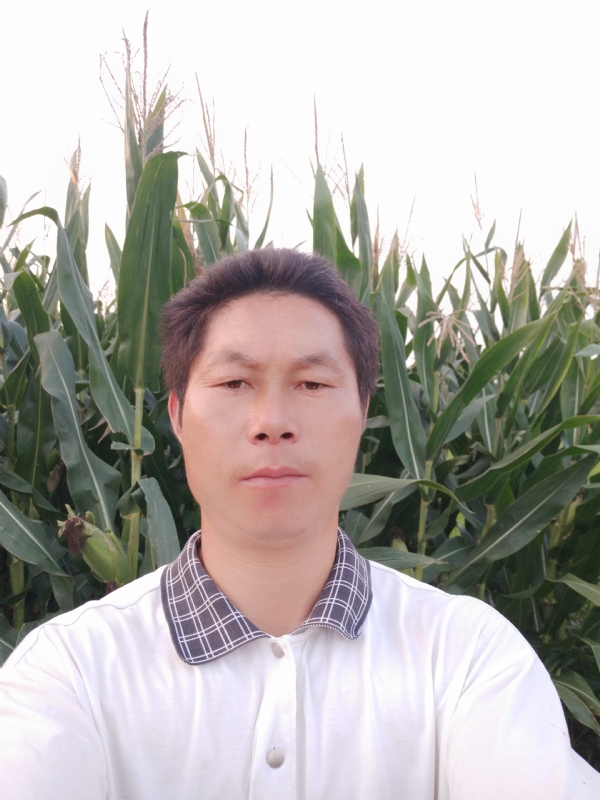 四海游龙的第一张照片--晋江交友网