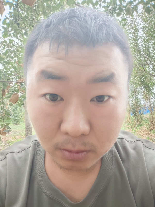 明天的第一张照片--晋江交友网