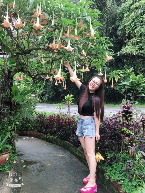 离异单身无子的第二张照片--晋江交友网