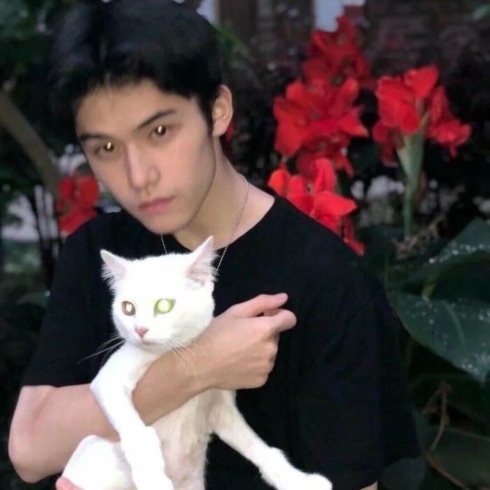 爷的魅力你不懂的第一张照片--晋江交友网