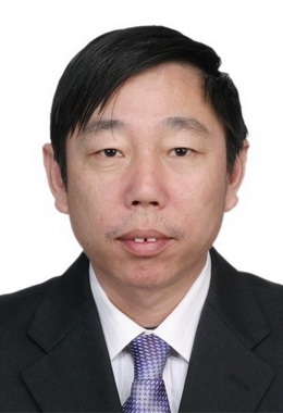 绿油油的榕树的第一张照片--晋江交友网