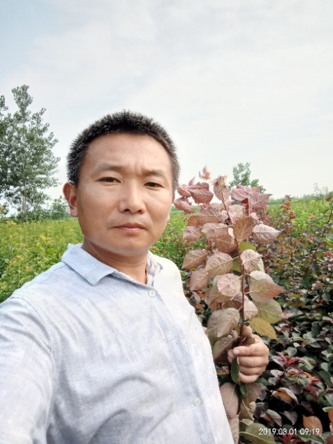 孩子爸的第一张照片--晋江交友网