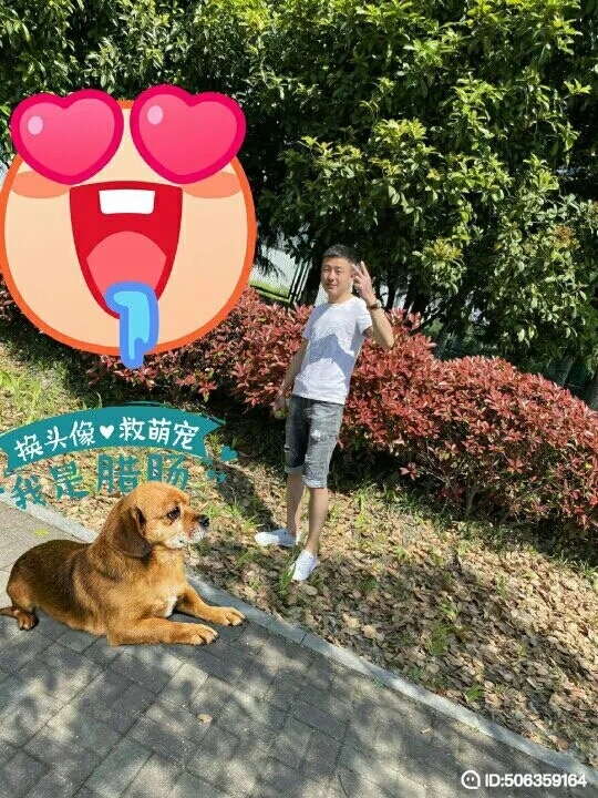 我若不坚强谁替我勇敢的第五张照片--晋江交友网