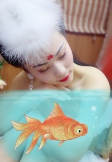 清风恋百合的第二张照片--晋江交友网