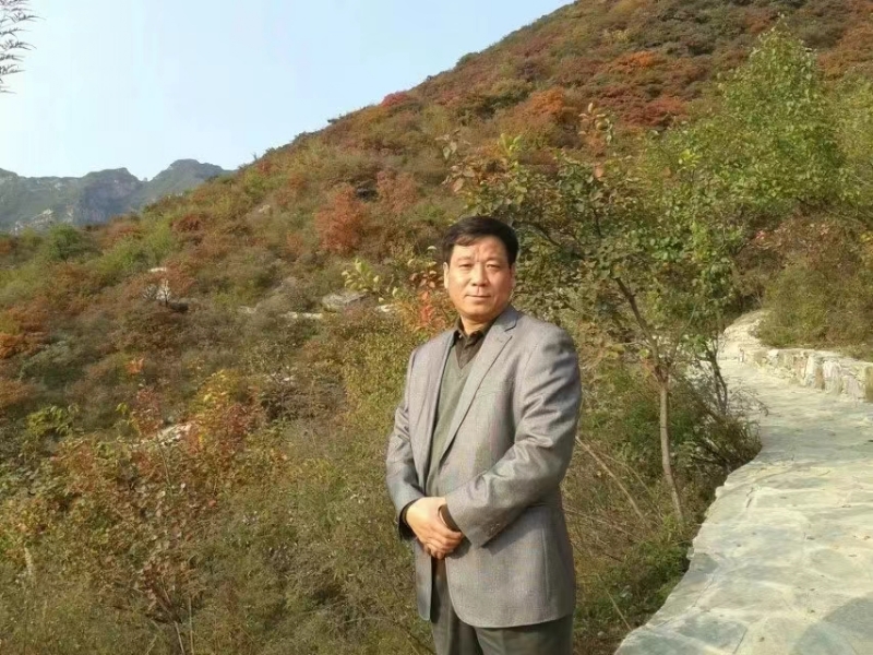 古树的第一张照片--晋江交友网