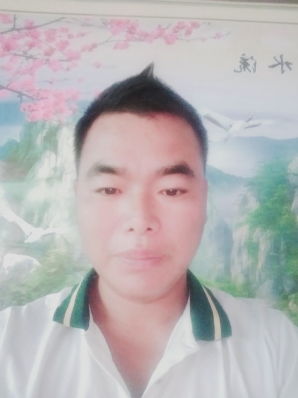 阳光男孩的第二张照片--晋江交友网
